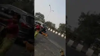 Husband beats wife in Noida.