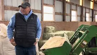 Bulk feeding horses