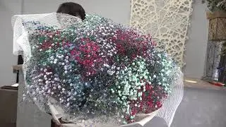 【花の着色】プロポーズ用にかすみ草を着色してミックスカラーの花束を作ってみた