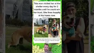 Man Adopts Disabled Dog After Everyone Else Gave Up on Her 🐶❤️