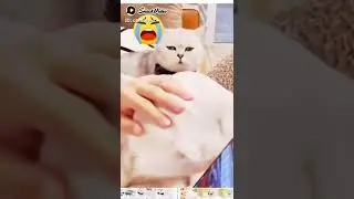 😭😭 Kasiyang kusing korea