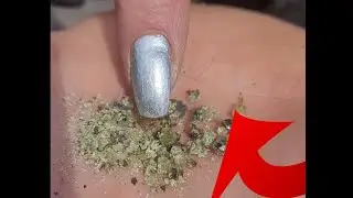 Peridot Gemstone hunting in the Cariboo of British Columbia AND WE FOUND THEM!