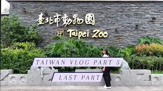 Taiwan Vlog Part 5 (Last Part)|Taipei Zoo, Carrefour, Busking|Irishteru