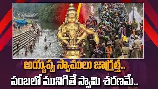 Brain Eating Amoeba : శబరిమలలో  అమీబిక్&zwnj; మినింగో వైరస్, పంబలో మునగొచ్చా? | Oneindia Telugu
