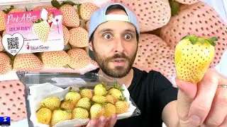 White Strawberry (Pineberry) Review