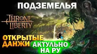 Открытые данжи I Подземелья I Локации с усиленными монстрами I Open dungeons - Throne and Liberty