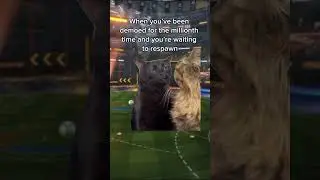 It always feels like forever 😑🥱 #rocketleague #demo #rlmeme #rl