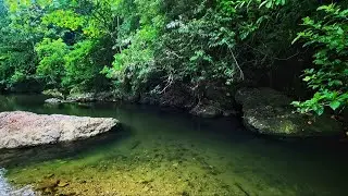 Peaceful River Sound for Deep Relaxation