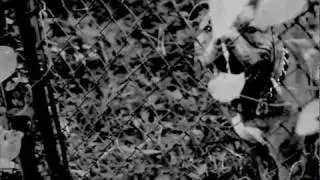 Homage to Homicide: Life on the Street - Atlanta, Georgia Remake