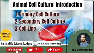 Animal Cell Culture | Introduction & Types | Primary & Secondary Culture | CSIR | GATE | DBT | AIIMS