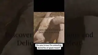 Curious about the health benefits of goat meat? Explore its nutritional power at wholesometarian.com