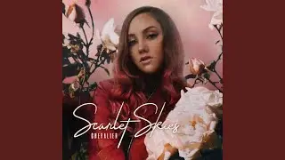 Scarlet Skies
