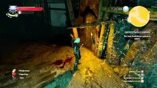 [The witcher 3] Video illustrativo
