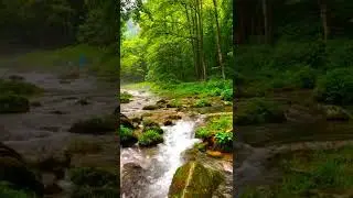 Listen & Sleep Immediately with Natural Sounds #Shorts