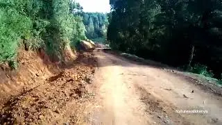 Exploring Mau Mau Road – Scenic Drive from Njabini to Murang’a | Aberdare Forest Nature Walk