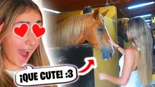 Vacaciones de LUJO con mi amiga 😱✨ Nuestra rutina en un resort increíble - Silvia Sánchez