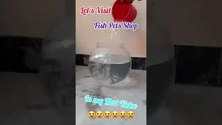 Chill Pets Shop in my next Video #pets #shorts #fishbowl #fishpet #fishtank #fish
