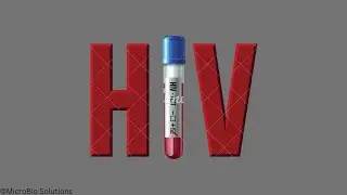 HIV | AIDS | Human Immunodeficiency Virus | Morphology | Pathogenesis