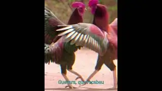 GOVERNO JANIO QUADROS