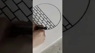 panda 🐼 on a wall / shading / draw /