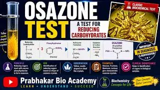 Osazone Test: A test for reducing carbohydrates