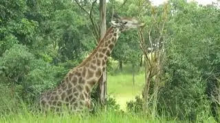 Africa Trip | Amy's shop | photography