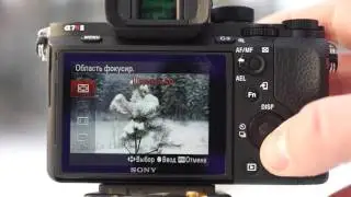 Фазовый автофокус с переходником Techart EOS-NEX III на Sony ILCE-7RM2