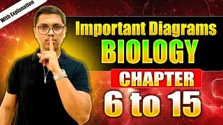 Most Important Diagrams + Explanation Biology Chapter 6 to 15 By : Prashant Bhaiya NIE