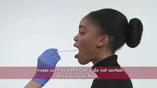 PCR Test Application for COVID-19 virus has started for foreigners living in Ankara