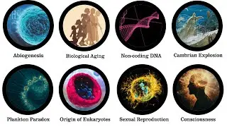 Biology&rsquo;s UNSOLVED Mysteries Explained in 10 Minutes