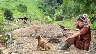 CEO rescues himself, piglets, and baby monkeys when the house collapses!