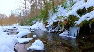 Winter Forest River White Noise | Nature Sounds | 10 Hours