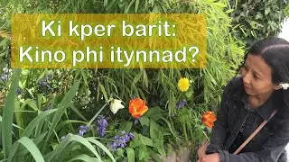 Ki Kper Barit: Kino phi itynnad?