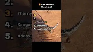 🐫TOP 5 Desert Survivors!