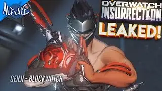 OVERWATCH INSURRECTION UPRSING l OVERWATCH TRAILER LEAK