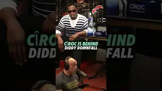 Joe Rogan Talk About Who Is Behind Diddy's Downfall #joerogan #jre #jreclips
