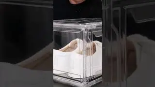 Magnetic Acrylic Drop Front Shoe Box Review - The Best Shoe Storage Out There!