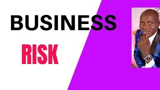 Business Risk Model in Assurance Service (Engagement)- AAA