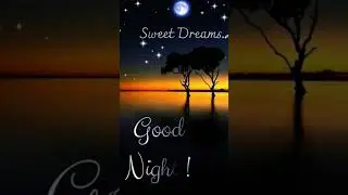 good night all my dear friend#status video 🌚🌚