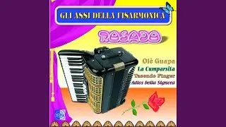 Forza gigi