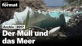 Der Müll und das Meer (2017)