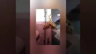 المفاجأة المنتظرة على الأبواب 🤔💯👍👈 رسالة التاروت لك💯👍