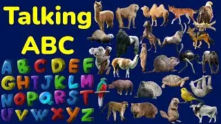 ABC Animal Alphabets | talking ABC | A-Z Talking Animals 2 | talking Animals interactive AI video