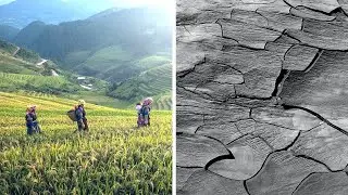 Global Food Security Crisis: Interventions Needed Now!