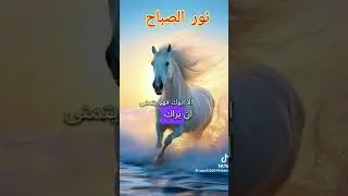 ١١ كانون الثاني ٢٠٢٦