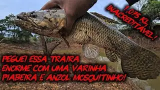 PESCADOR SE SURPREENDE APÓS PEGAR UM TRAIRÃO NA PESCARIA DE ACARA E JACUNDA!