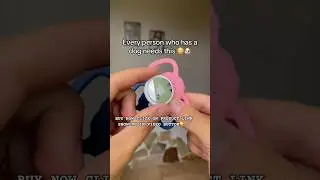 Must have gadgets for every pet owners #dog #pettracker #gpstracking #petessentials #dogownertips