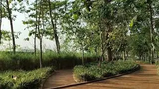 FullHD 1080p 30fps (UltraSteady, main camera) - OnePlus Nord CE4 video stabilization sample