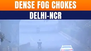 Delhi-NCR Air Turns Hazardous As AQI Stays Severe, GRAP Stage-IV Enforced In Gurugram | News9