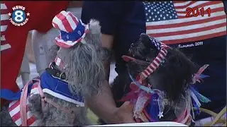 News 8's Larry Himmel at the patriotic pet contest in San Diego on Fourth of July 2011